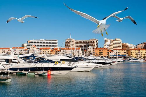 Motor boats in Vilamoura resort, Portugal